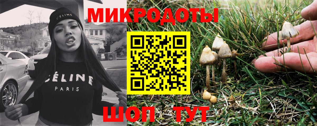 Псилоцибиновые грибы MAGIC MUSHROOMS Новоалтайск
