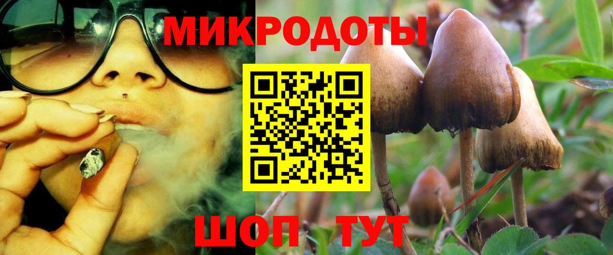 Новоалтайск  Галлюциногенные грибы Cubensis  Вход с VPN  Псилоцибиновые грибы мухоморы 